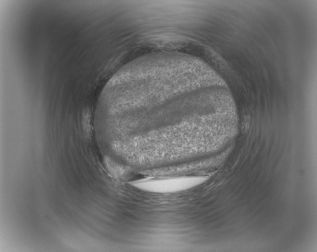 X0000068721108200605121445