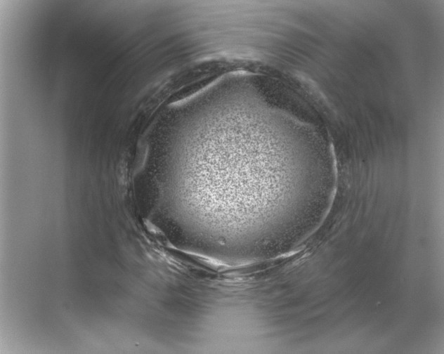 X0000068721110200605121445