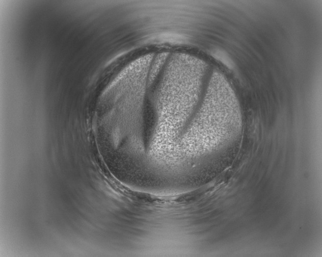 X0000068721112200605121445