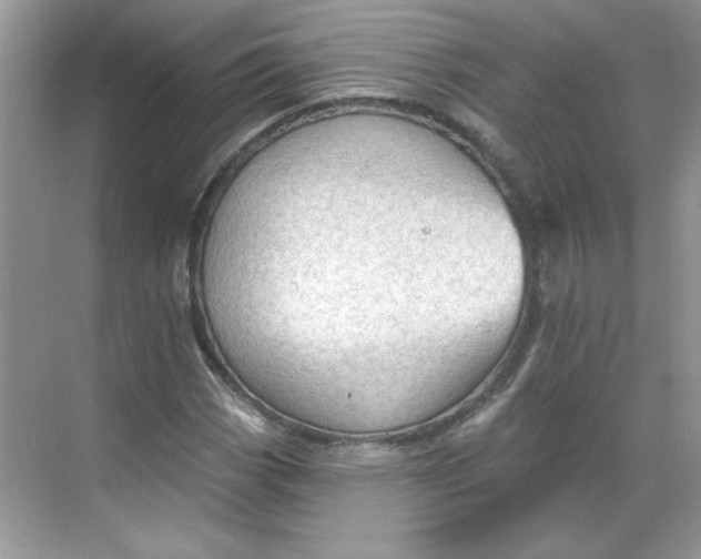 X0000068721113200605121445