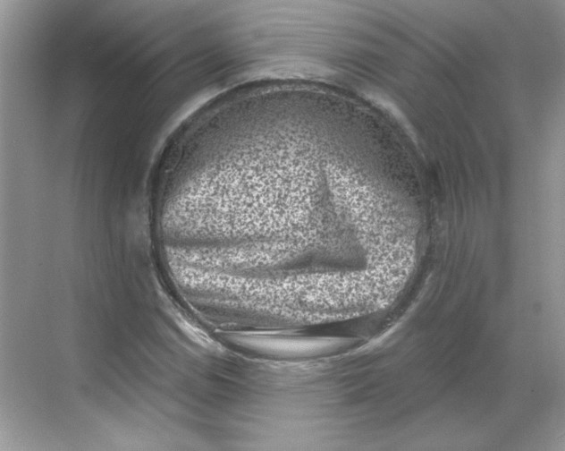 X0000068721114200605121445