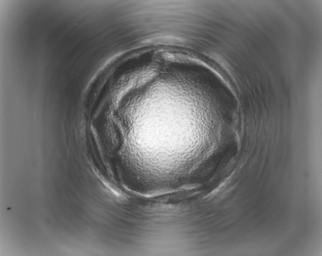 X0000068721115200605121445