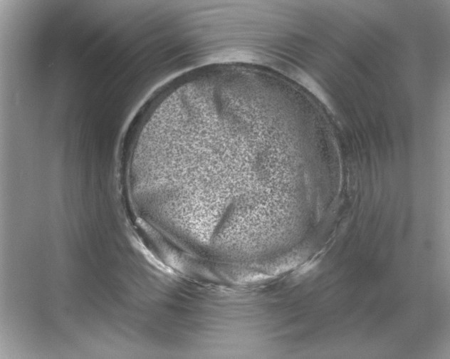 X0000068721116200605121445