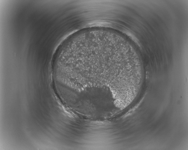 X0000068721117200605121445