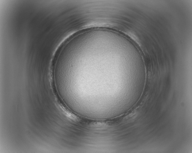 X0000068721119200605121445