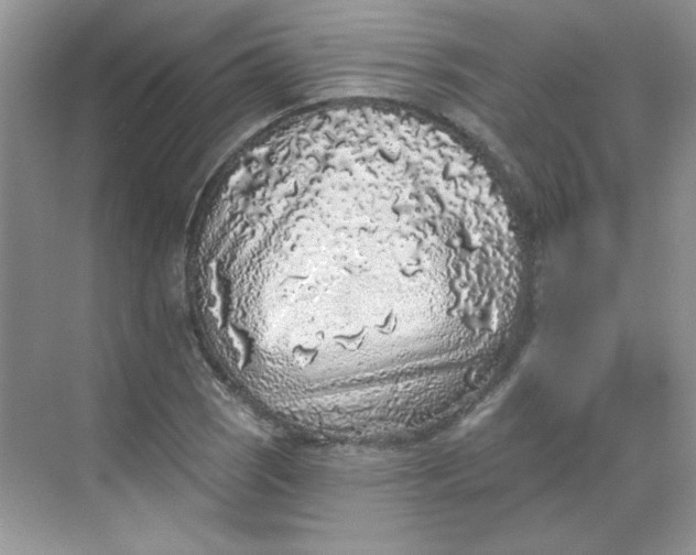 X0000068721121200605121445