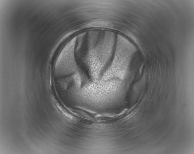 X0000068721123200605121445