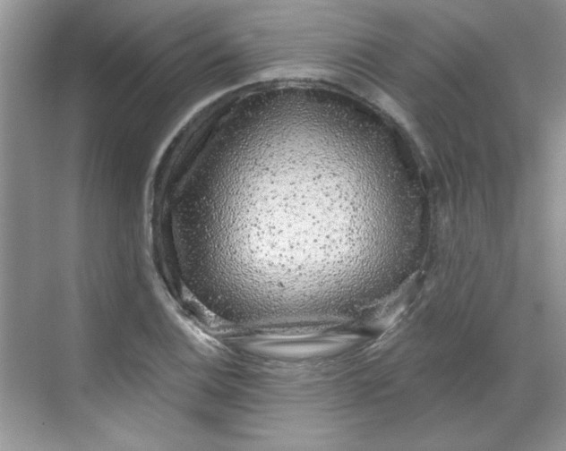 X0000068721124200605121445