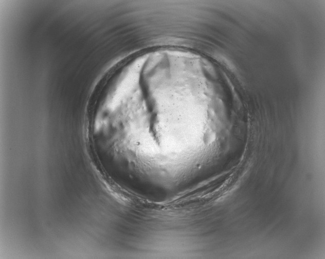 X0000068721125200605121445