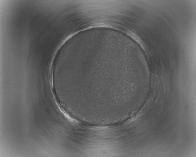 X0000068721127200605121445