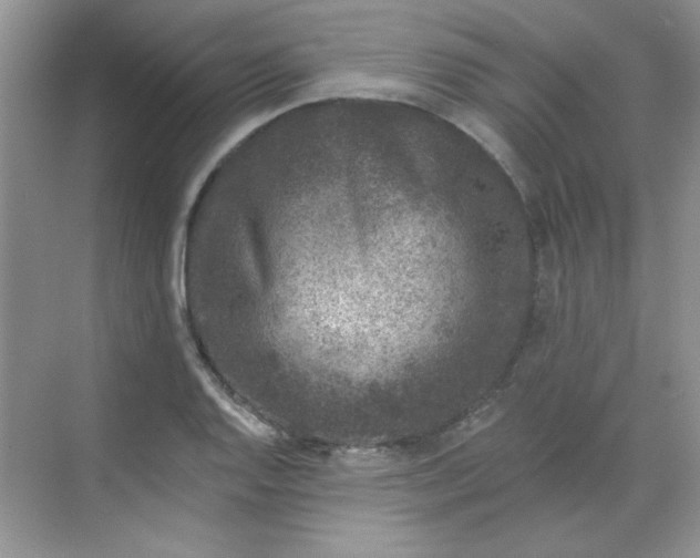 X0000068721128200605121445