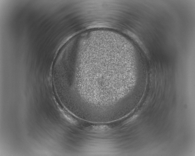 X0000068721129200605121445