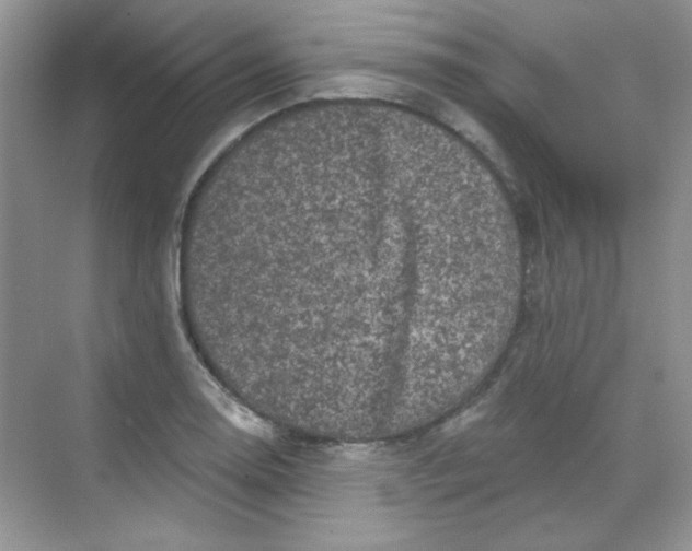 X0000068721130200605121445