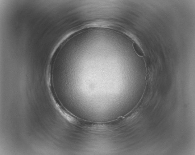 X0000068721131200605121445