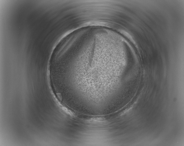 X0000068721133200605121445