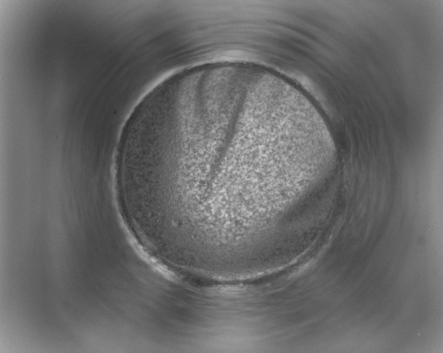 X0000068721134200605121445