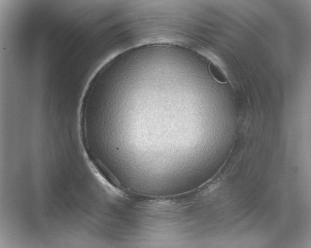 X0000068721135200605121445