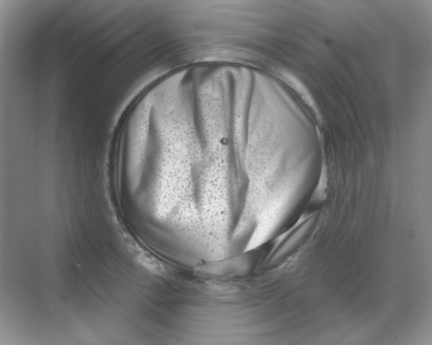 X0000068721138200605121445