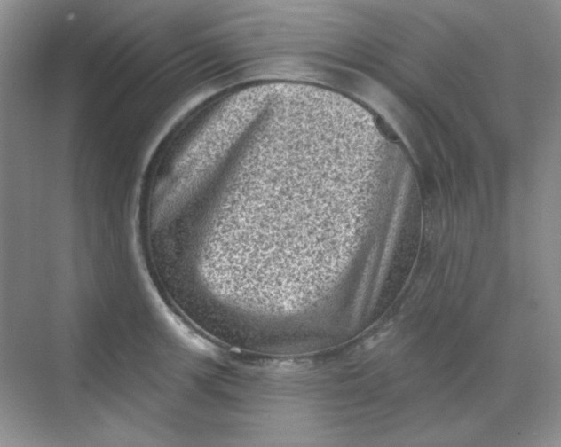 X0000068721139200605121445