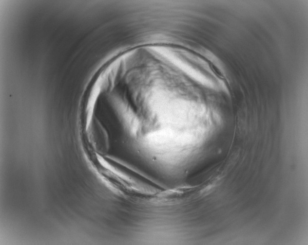 X0000068721142200605121445