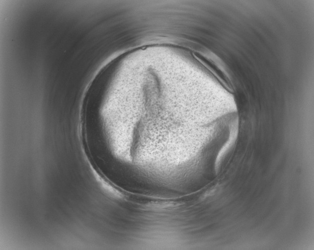 X0000068721143200605121445