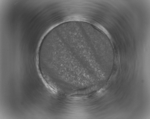 X0000068721144200605121445