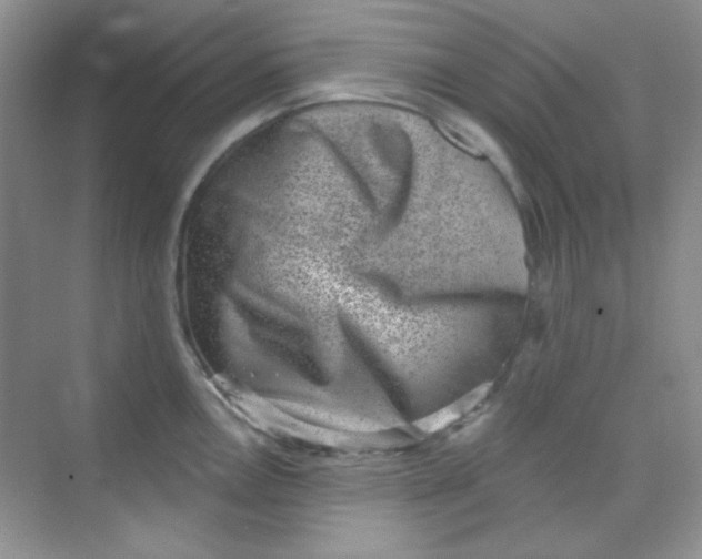 X0000068721146200605121445