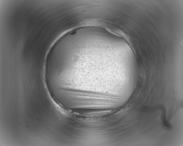 X0000068721147200605121445