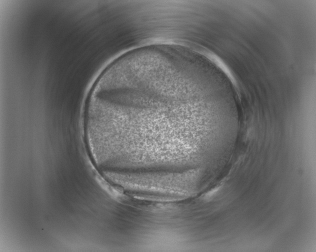 X0000068721148200605121445