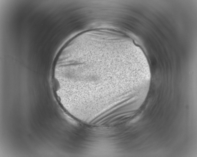 X0000068721149200605121445