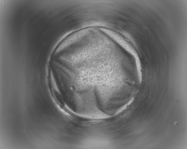 X0000068721151200605121445