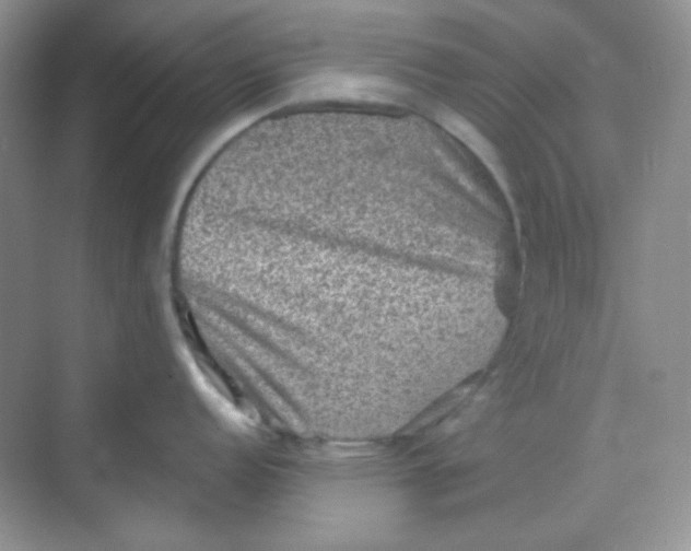 X0000068721152200605121445