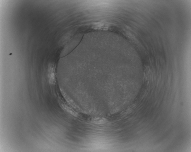 X0000068721154200605121445