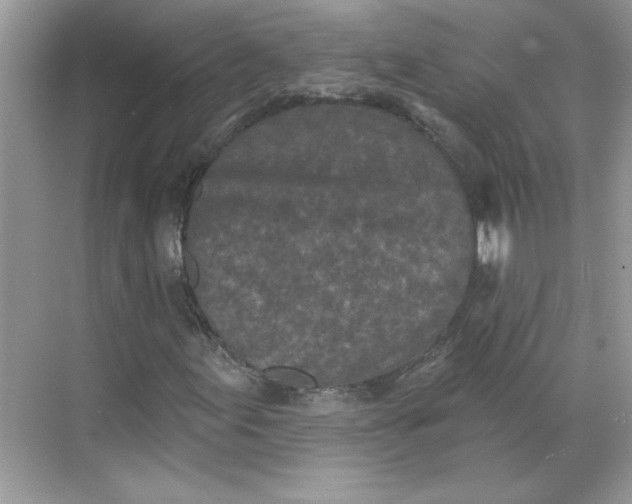 X0000068721155200605121445