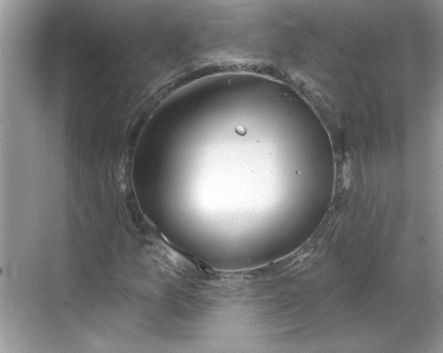 X0000068721157200605121445