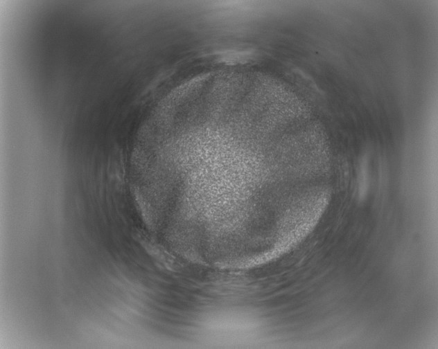 X0000068721158200605121445