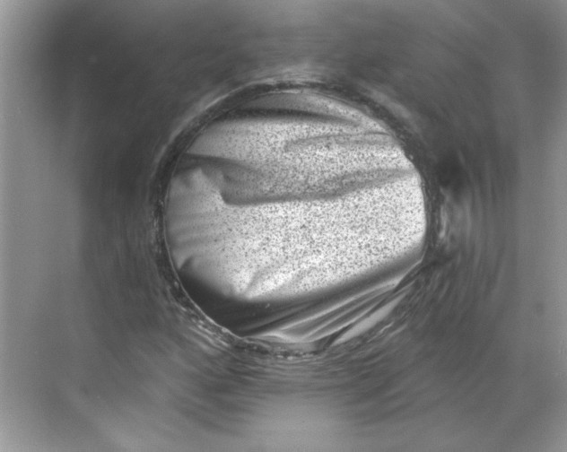 X0000068721160200605121444