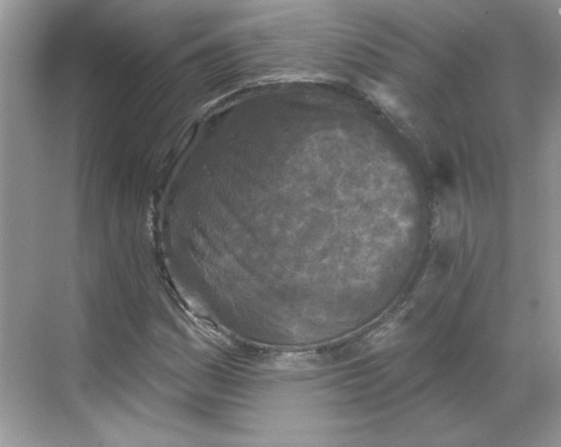 X0000068721161200605121444