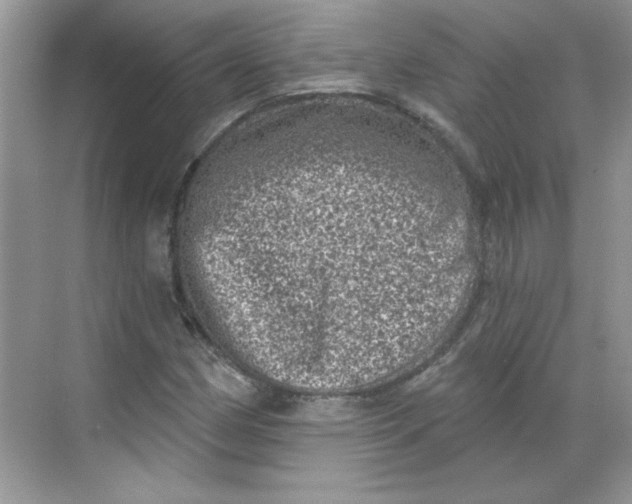 X0000068721162200605121444