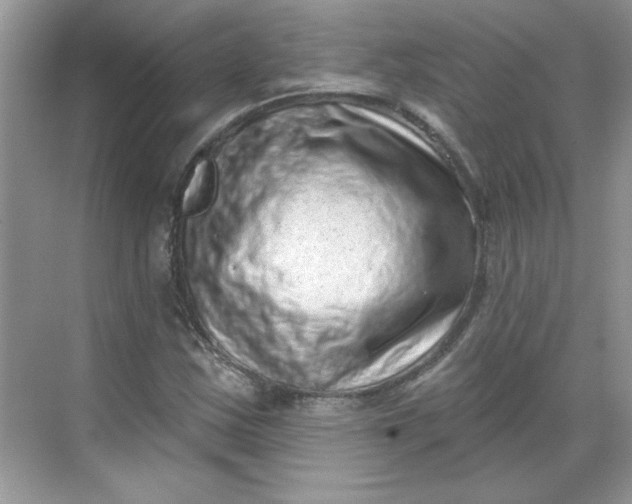 X0000068721163200605121444