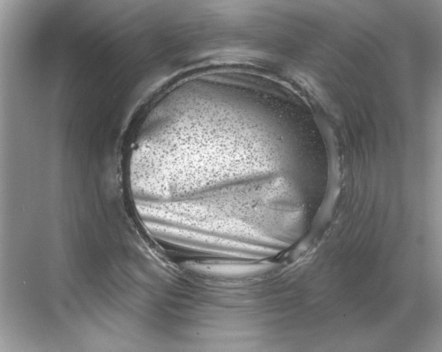 X0000068721164200605121444