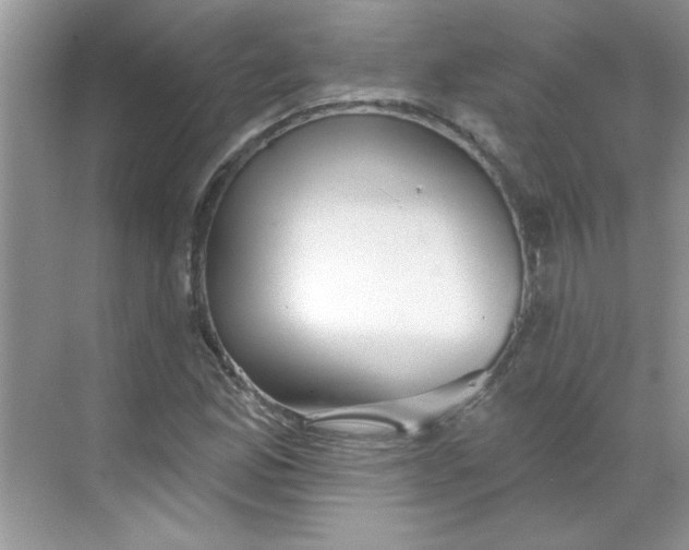 X0000068721165200605121444