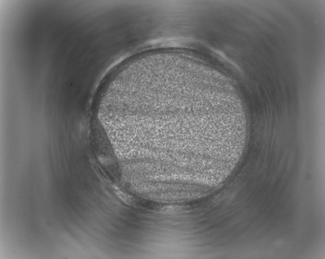 X0000068721166200605121444