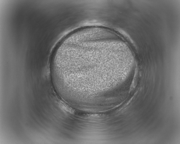 X0000068721167200605121444