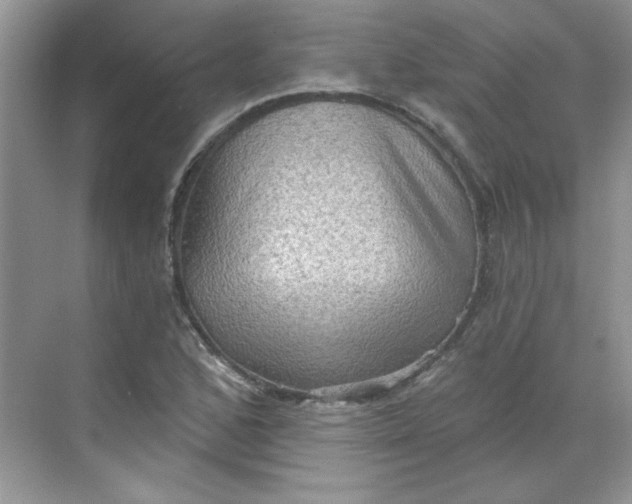 X0000068721168200605121444