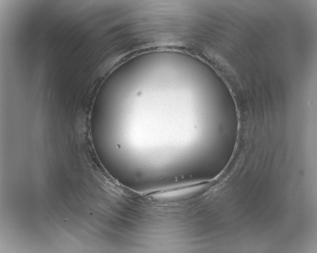 X0000068721169200605121444