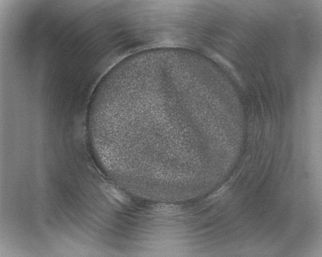 X0000068721170200605121444