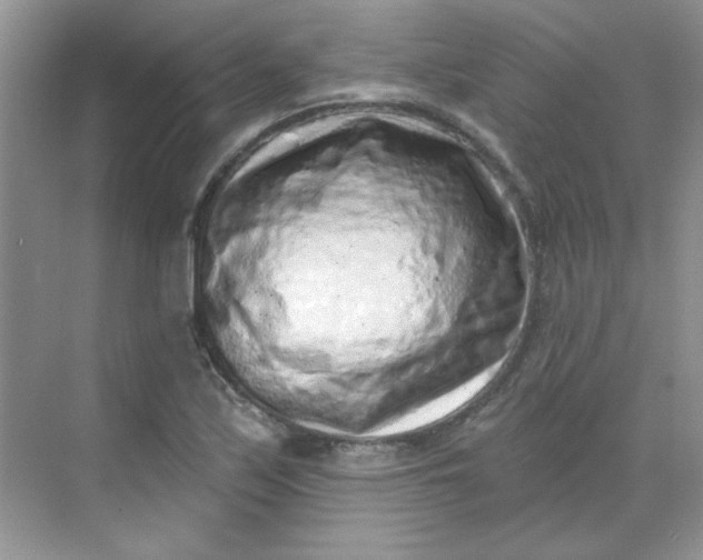 X0000068721171200605121444