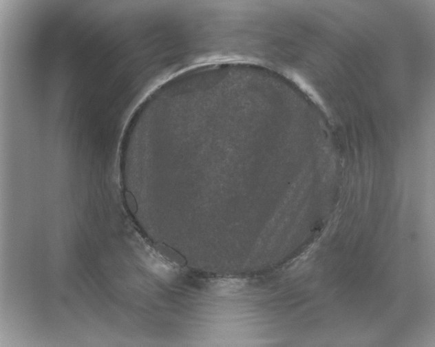 X0000068721173200605121444