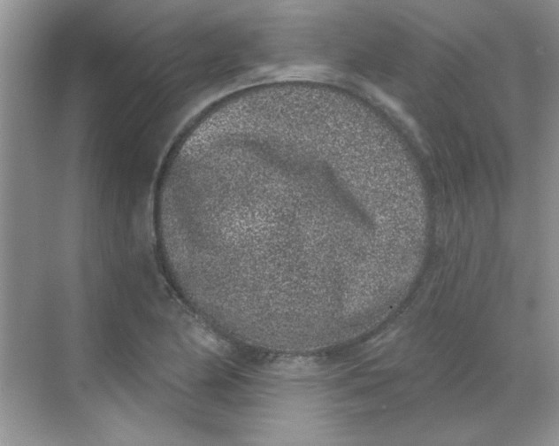 X0000068721174200605121444